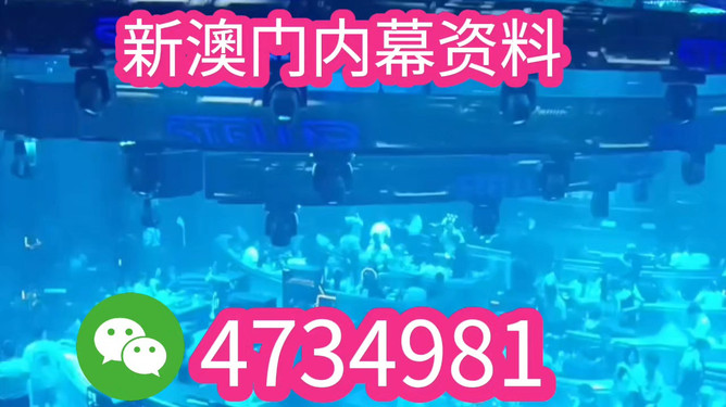 揭秘澳门王中王开奖结果——探寻未来的幸运之星（关键词，新澳门王中王开奖结果），揭秘澳门王中王开奖结果，探寻未来幸运之星之旅（关键词，新澳门王中王揭晓）