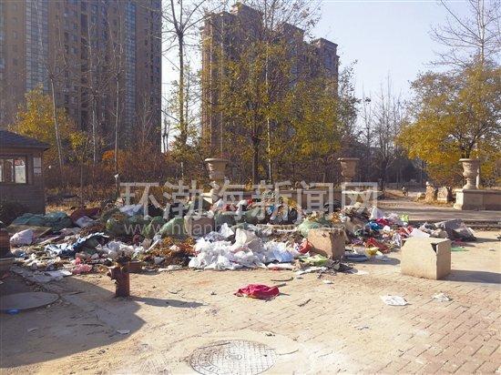凤凰新闻网最新信息，新闻报道与社会发展的紧密纽带，凤凰新闻网最新动态，新闻报道与社会发展的紧密相连纽带