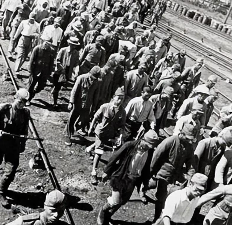 苏联1945年阅兵，历史的见证与荣耀的瞬间，苏联1945年阅兵，历史见证的荣耀瞬间
