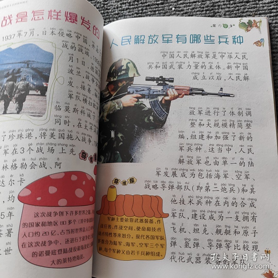 军事秘籍视频，探索军事领域的秘密宝藏，军事秘籍大揭秘，探索军事领域的宝藏