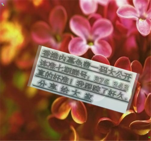 王中王六肖必中一肖，揭秘预测背后的神秘面纱，揭秘王中王六肖必中一肖预测背后的秘密面纱