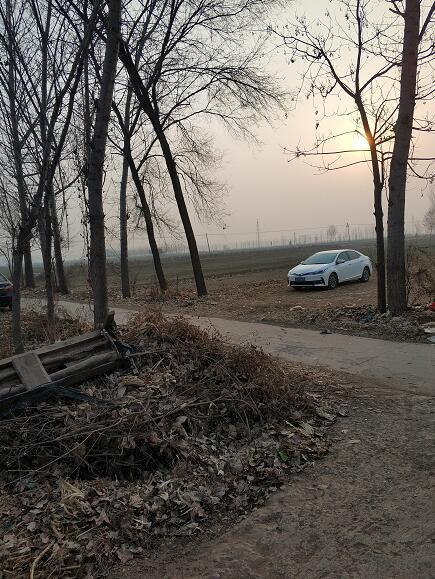 空十五师历史沿革，空十五师历史沿革概览