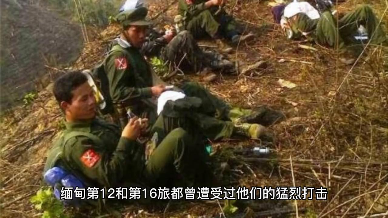 缅北同盟军与缅军，最新态势分析，缅北同盟军与缅军最新态势解析