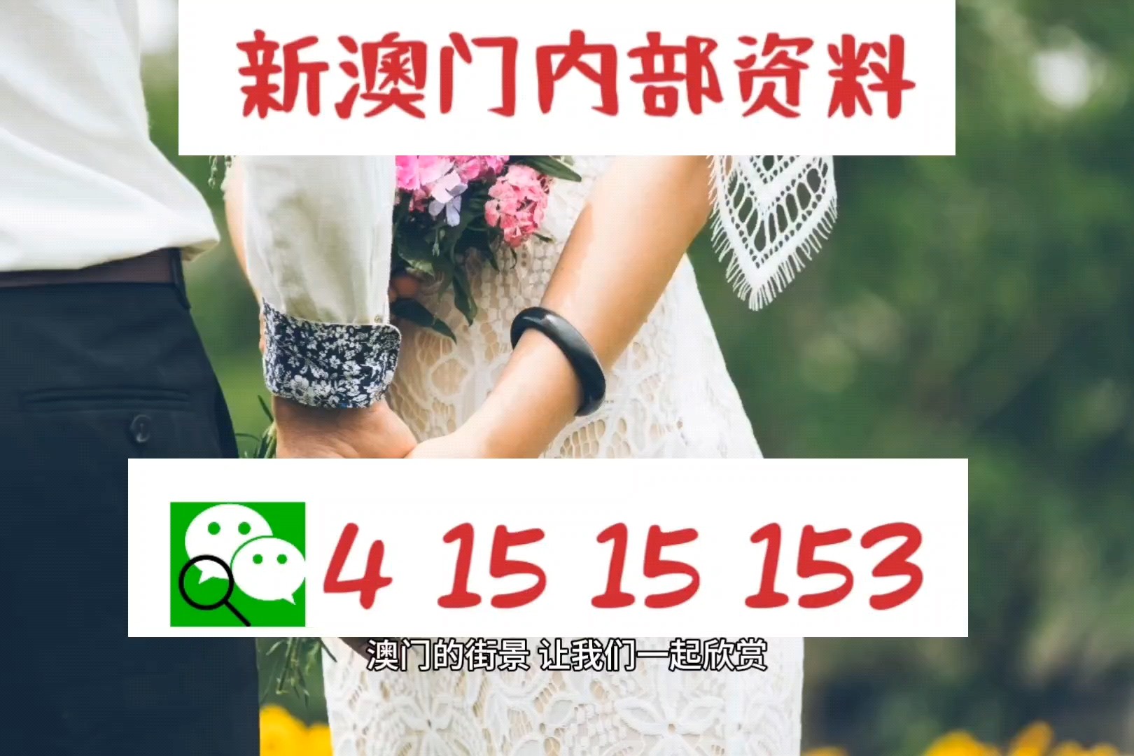 新澳最新最快资料，掌握信息前沿，引领未来发展，新澳最新资料速递，掌握信息前沿，引领未来发展趋势