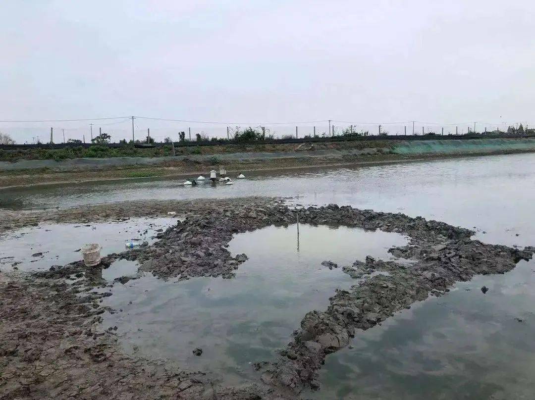 新澳现场开奖结果查询，便捷、透明与乐趣的完美结合，新澳开奖结果查询，便捷、透明与乐趣的交融体验