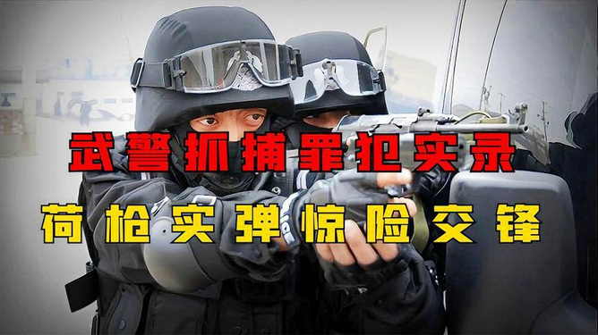 武警抓捕行动背后的罪行解析，武警抓捕行动背后的犯罪真相揭秘