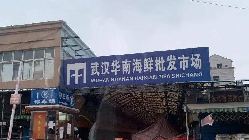 华南海鲜市场老板现状深度探究，华南海鲜市场老板现状深度剖析