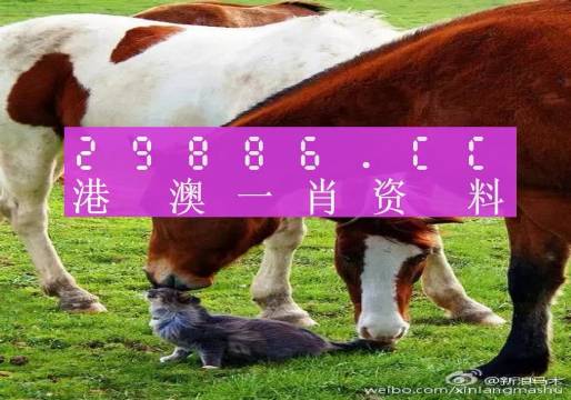 王中王澳门特肖一马，探索未知的领域与无限可能，王中王澳门特肖一马，探索未知领域与无限潜能