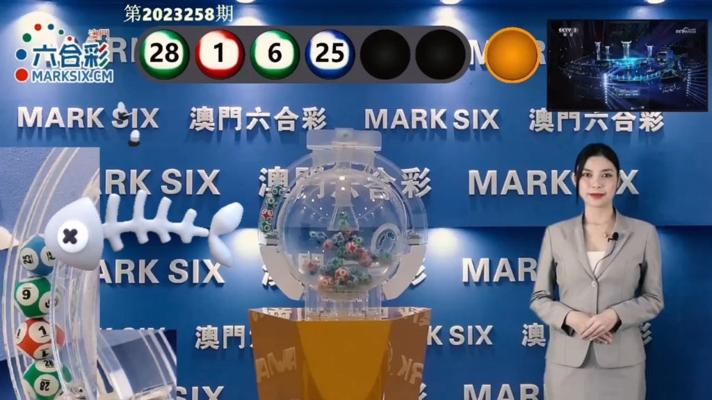 新澳门六开奖结果记录，探索与解析，澳门六开奖结果记录深度解析与探索
