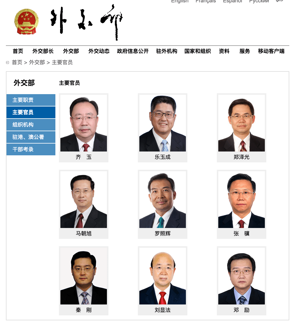 外交部部长助理级别的地位与职责，外交部部长助理级别的地位与职责详解