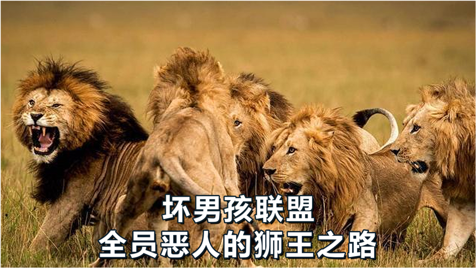 王中王四不像一肖中的奥秘与探索，王中王四不像一肖奥秘探索揭秘