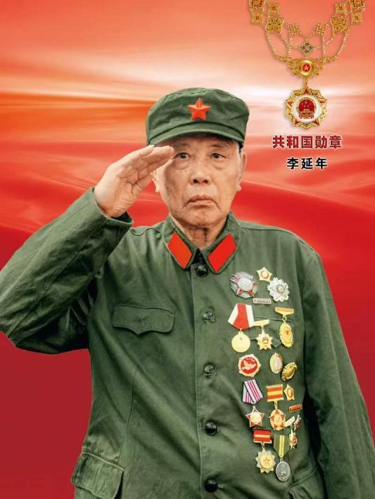 共和国勋章，九位杰出人物的荣耀，共和国勋章，九位杰出人物的辉煌荣耀