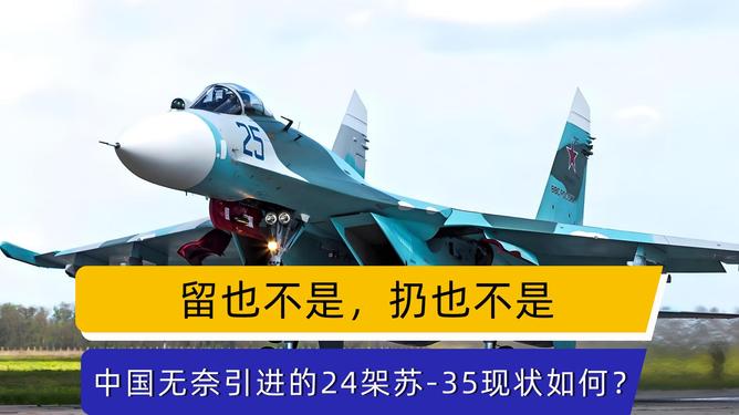 我国为何选择引进24架苏-35战斗机，深度解析背后的原因，深度解析，中国为何选择引进24架苏-35战斗机？原因揭秘。