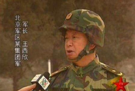 级别与职责解析