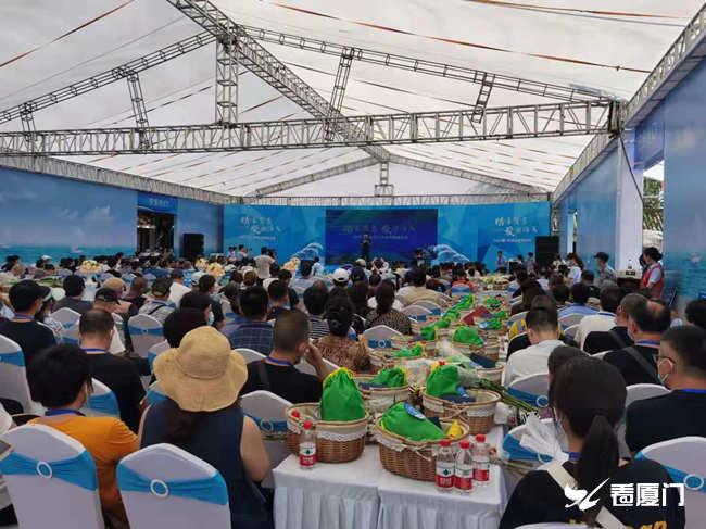 2021年台海实战军演，展示捍卫国家主权与领土完整的决心，台海实战军演彰显捍卫国家主权与领土完整的决心