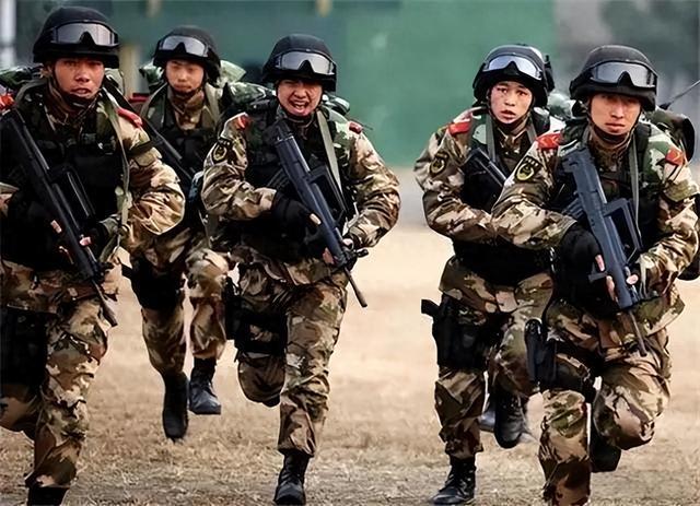 武警改革后还剩下的兵种概览,武警改革后剩余兵种概览