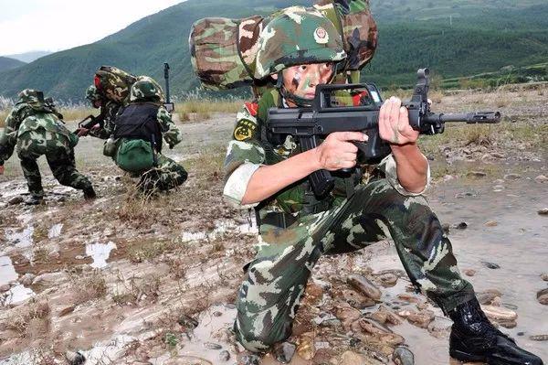 武警改革后还剩下的兵种概览,武警改革后剩余兵种概览