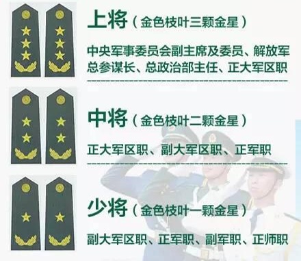 军衔级别与职务档次，军队管理体系中的两大基石，军衔级别与职务档次，军队管理体系的基石