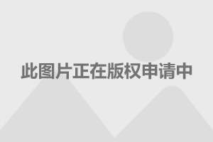中国人民解放军陆军作战服装，历史演变与现代发展，中国人民解放军陆军作战服装，历史演变与现代进展