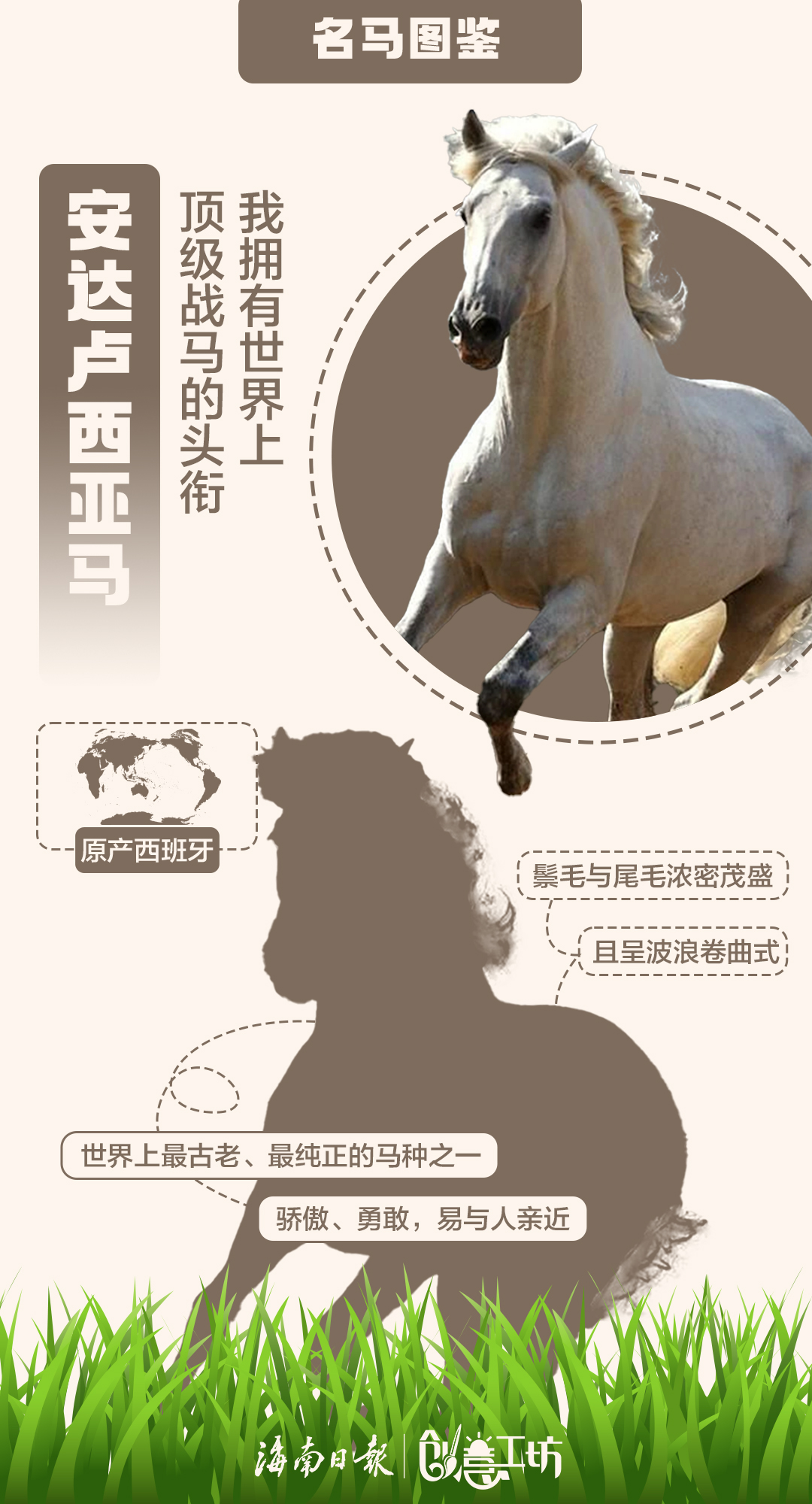 王中王猛虎报平特一肖——探寻背后的故事与意义，王中王猛虎报平特一肖，背后的故事与意义探寻