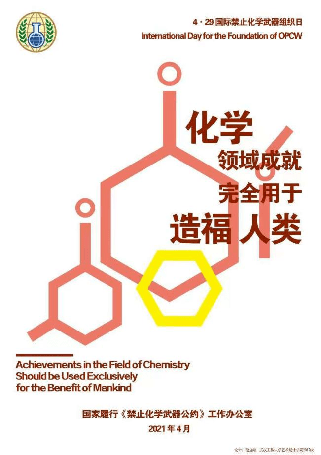 禁止化学武器公约，全球安全的基石与挑战，全球安全的基石与挑战，禁止化学武器公约的审视