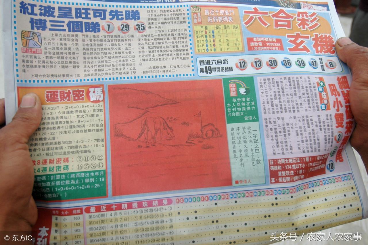 香港图库免费资料大全看——探索未来的视觉艺术之旅（2025版），香港视觉艺术之旅，图库免费资料大全探索未来之旅（2025版）