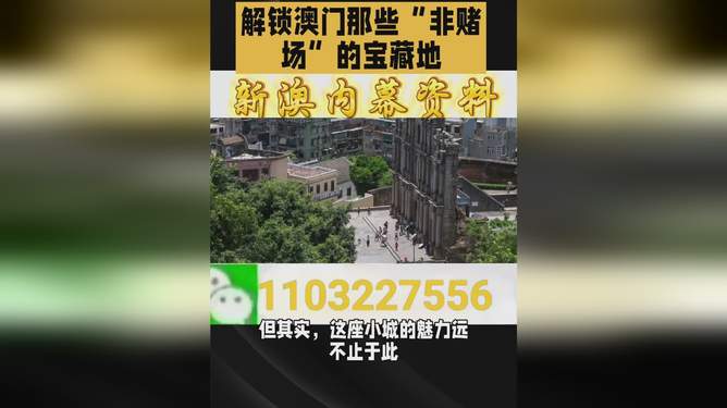 澳门今晚必开一肖一特，探索幸运背后的文化魅力，澳门幸运文化探索，今晚必开一肖一特的魅力