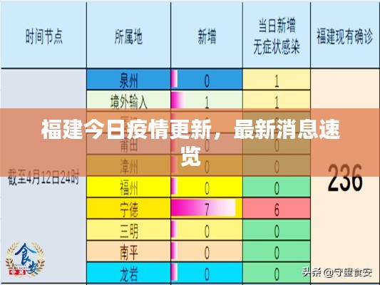 福建最近几天战备情况分析，福建近期战备态势深度解析