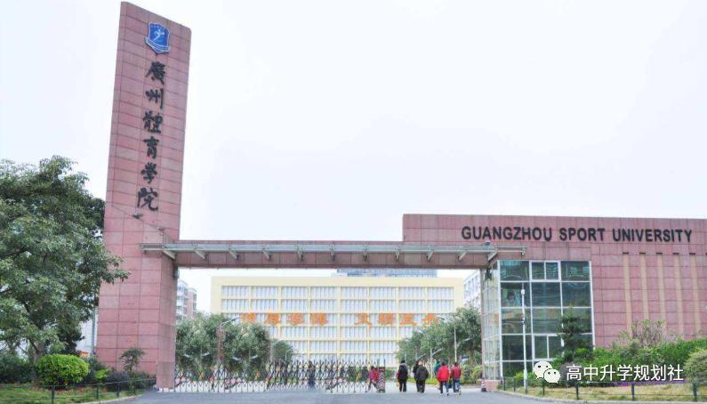 关于第三十八集团王牌军是否属于陆军的探讨,第三十八集团王牌军是否属于陆军,深入解析与探讨