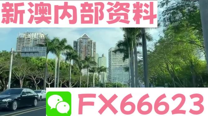 新澳精准资料免费提供的价值与影响，新澳精准资料免费提供的价值及其影响