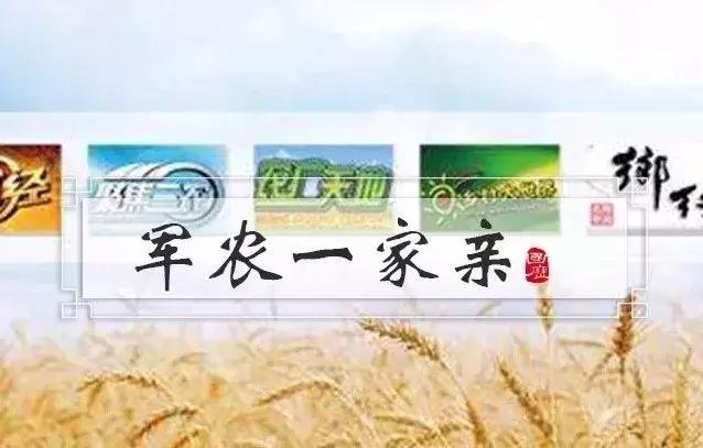 中央7台，农业与军事的交融与展现，中央7台，农业与军事的交融与展示