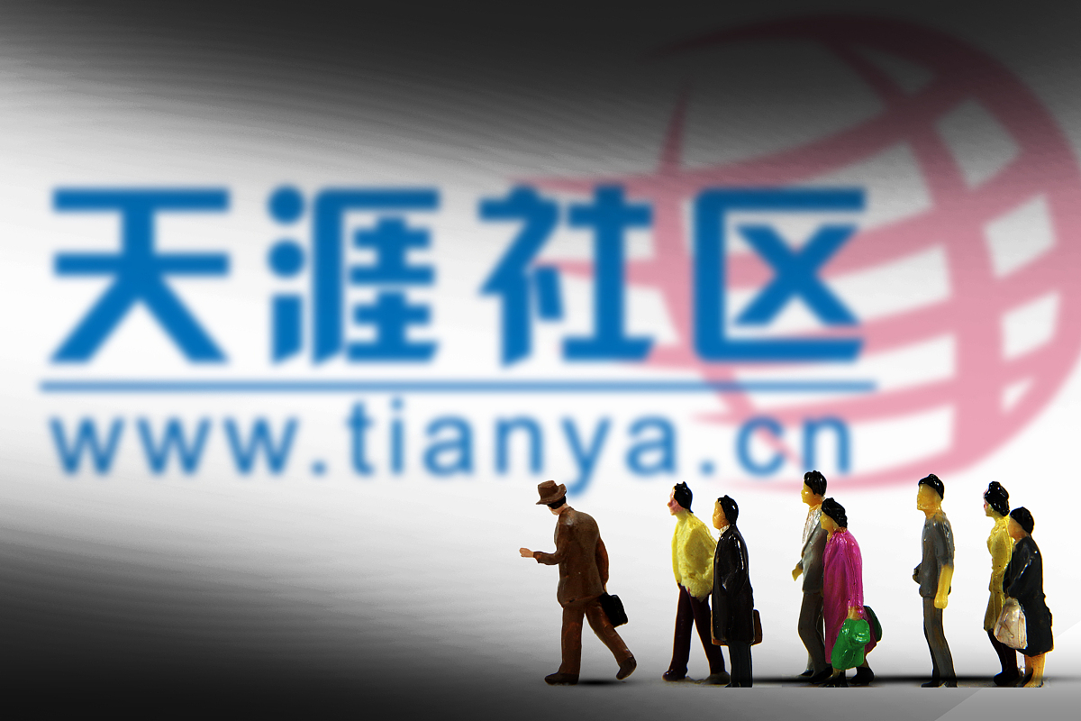 天涯论坛文学，网络文学的新疆界，天涯论坛文学，网络文学的新疆界探索