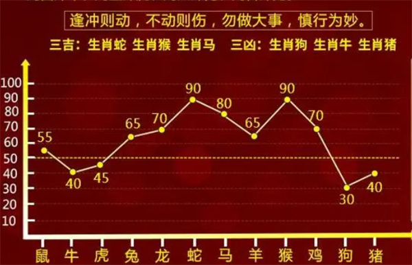 一肖一码中的持有之道，深度解析与探索，一肖一码持有之道，深度解析与探索之路