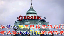 楚天军情国际，多维视角解读国际军事动态，楚天军情国际，多维视角深度解析国际军事动态