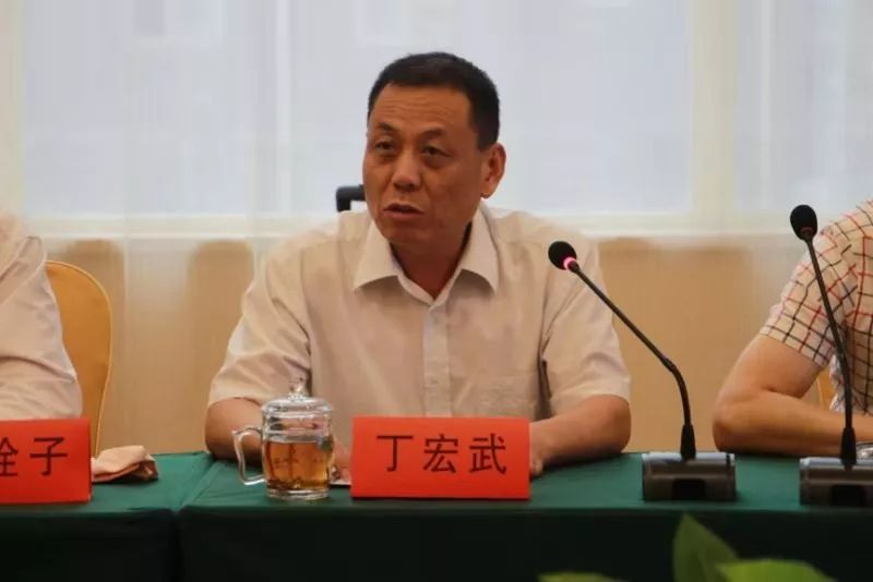 丁宏武，一位卓越领导者的卓越成就，丁宏武，卓越领导者的辉煌成就