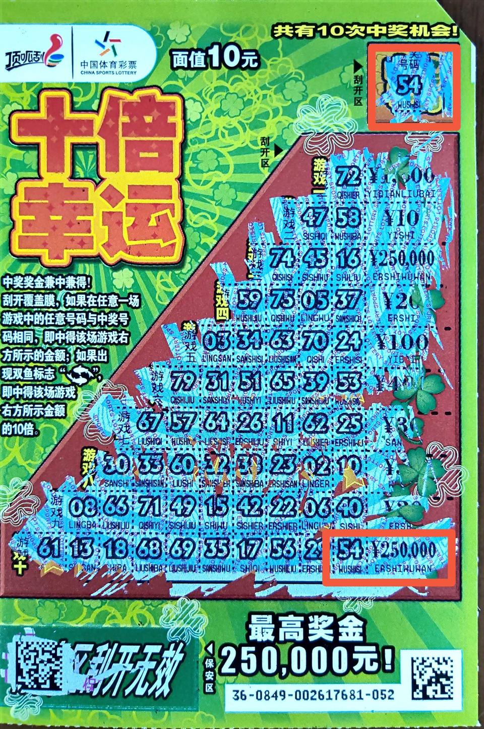 平特一肖买100中多少——彩票投注的奥秘与探索，彩票投注探索，平特一肖买100中奖揭秘