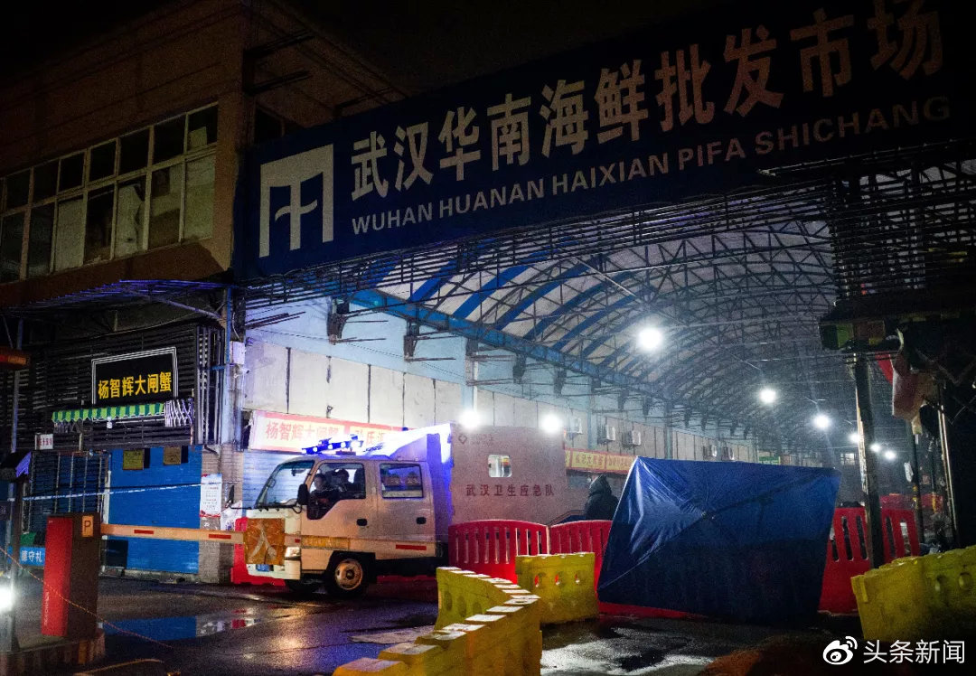 武汉华南海鲜市场，一座城市的记忆与反思，武汉华南海鲜市场，城市记忆与反思之地