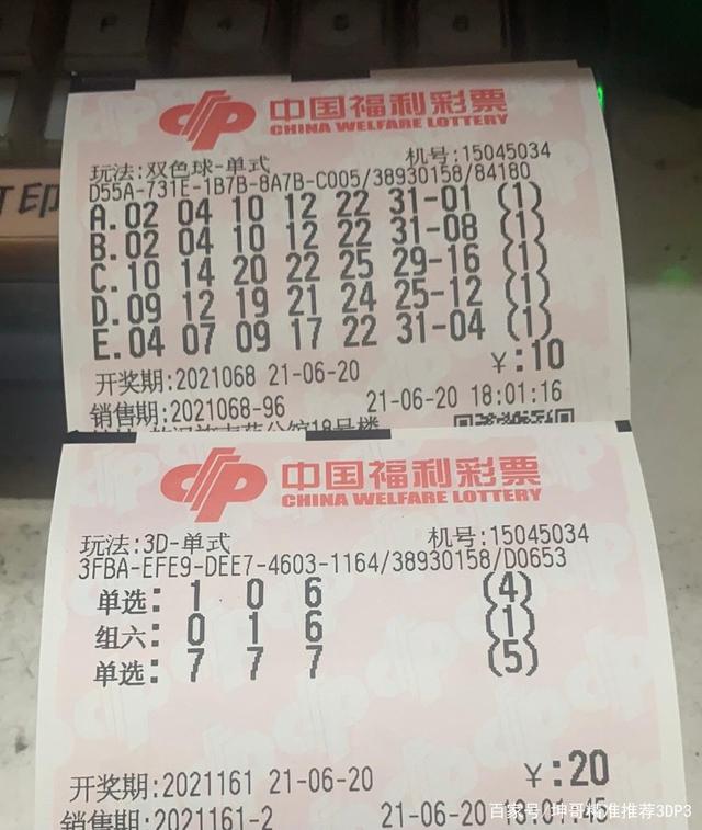 探寻王者之路，揭秘王中王平特一肖背后的故事，揭秘王者之路，王中王平特一肖背后的传奇故事