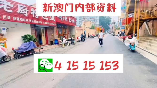 新澳天天开好彩资料大全，探索彩票世界的奥秘与魅力，探索彩票世界，新澳天天开好彩资料大全的魅力与奥秘