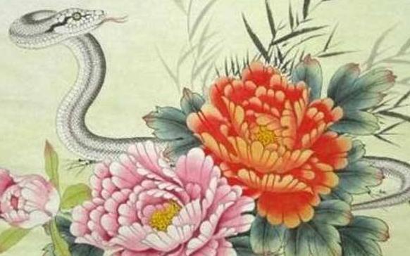 今天是什么生肖日,探寻生肖文化的魅力与意义,今日生肖揭秘,探寻生肖文化的魅力与深层含义