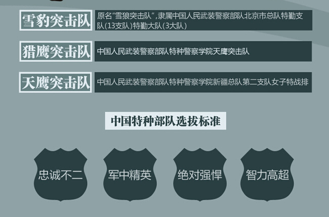 中国女特种兵部队排名,中国女特种兵部队排名揭秘
