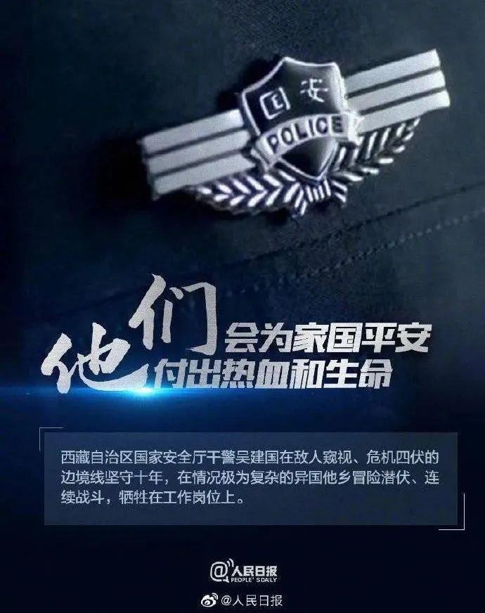 国家安全局与警察职业，职责、角色与差异，国家安全局与警察职业，职责、角色及差异解析