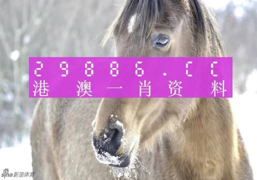 澳门一肖一码100精准正版诗象,探索命运之码的神秘面纱,澳门一肖一码精准探索,命运之码的神秘面纱