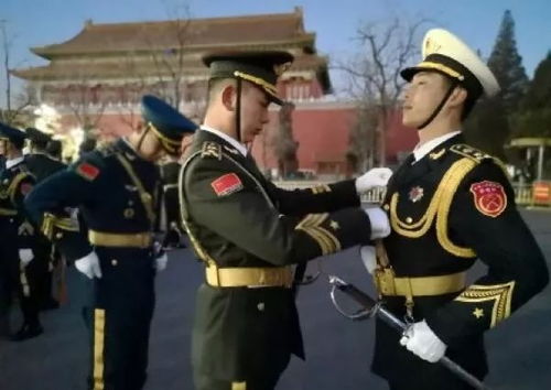 中国人民解放军第八军的荣耀与担当，中国人民解放军第八军的荣耀与担当，历史的见证与时代的使命