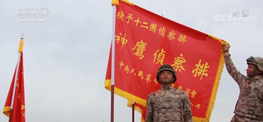 阅兵战旗中的部队，展现中国力量的多样性与统一，阅兵战旗中的部队，展现中国力量的多样性与统一风采