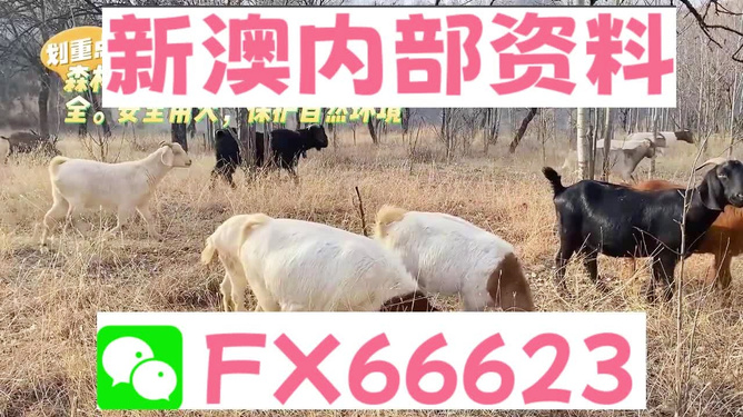 新澳2025今晚开奖资料四不像,探索与解析,新澳2025今晚开奖资料深度解析与探索四不像现象