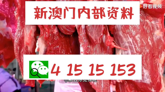 新澳门内部资料精准大全与港澳论坛深度探讨,澳门内部资料精准大全与港澳论坛深度探讨研讨会