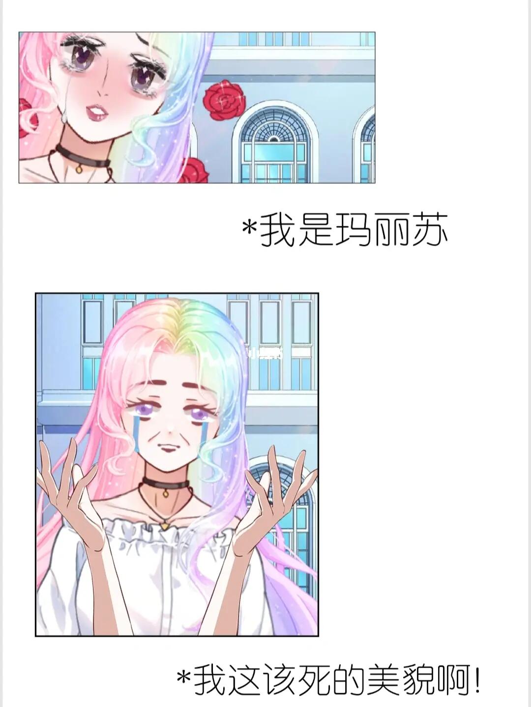 今天做玛丽苏，一场关于梦想、勇气与自我实现的奇幻之旅，玛丽苏之旅，梦想、勇气与自我实现的奇幻探险