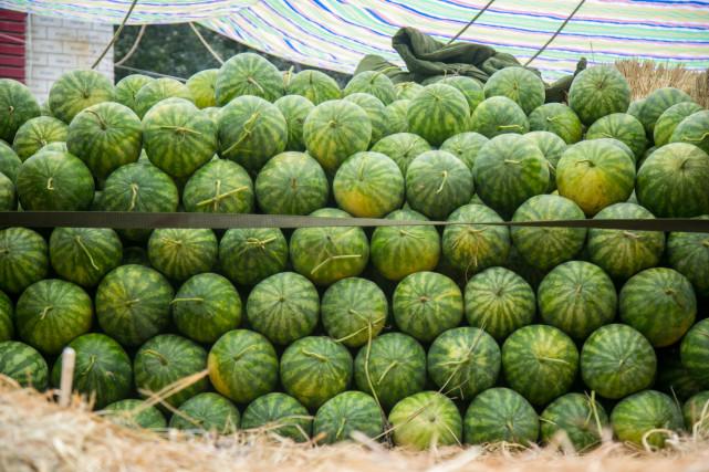 新澳门精准四肖期准,探索预测的魅力与挑战,澳门精准四肖期预测,探索预测的魅力与面临的挑战