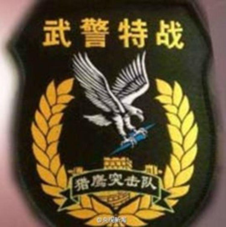 报考中国人民武装警察部队特种警察学院的独特体验与收获,报考中国人民武装警察部队特种警察学院的独特经历与成长收获